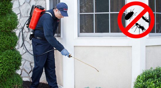Senirkent Böcek ve Haşere İlaçlama böcek ilaçlama ve haşere kontrolü — ilaclama-tr.com
